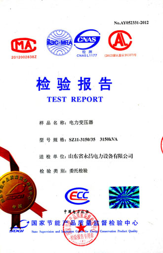 抚顺电力变压器检测报告